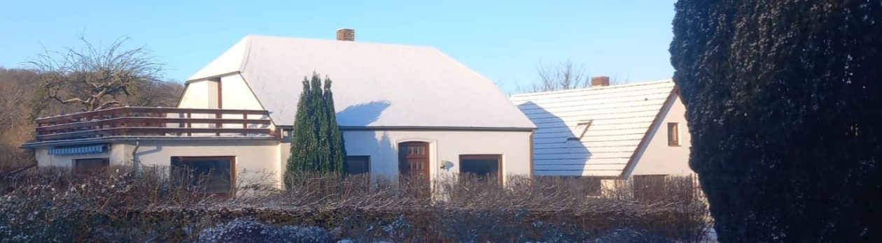 Beagle-Zucht Heike Pasternak