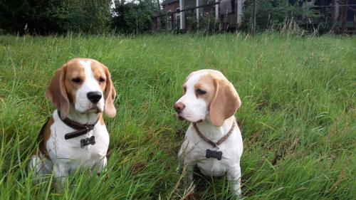 Sally und Noni